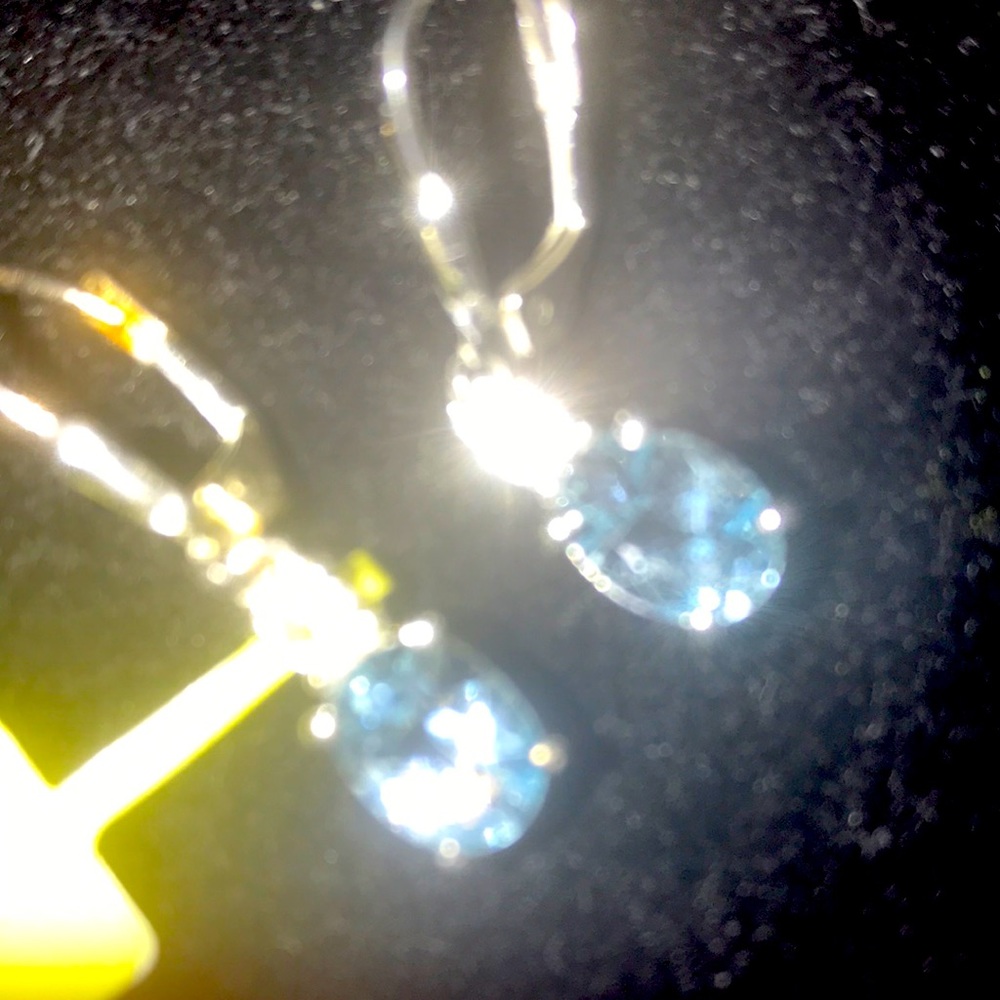 Earrings 1625